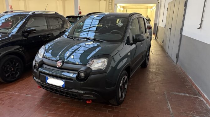 Fiat Panda 1.0 hybrid City Cross